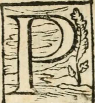An illustration from Alcvne rime et versi, 1588, leaf 6