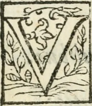 An illustration from Alcvne rime et versi, 1588, leaf 60