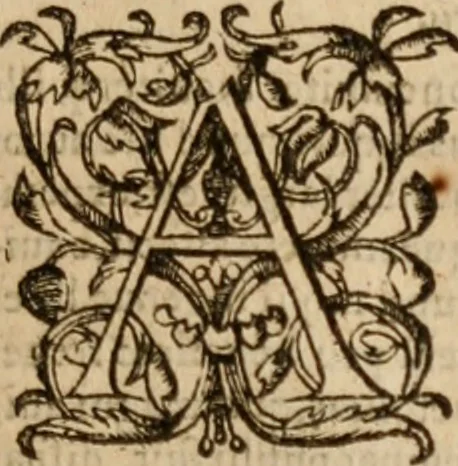 An illustration from Alexandri ab Alexandro, ivrisperiti neapolitani, Genialium dierum libri sex, varia ac recondita eruditione referti; nunc postremùm infinitis mendis quibus antea squallebat liber pulcherrimus, quanta fieri potuit diligentia perpurgati atque in pristinum nitorem restituti, 1570, leaf 786