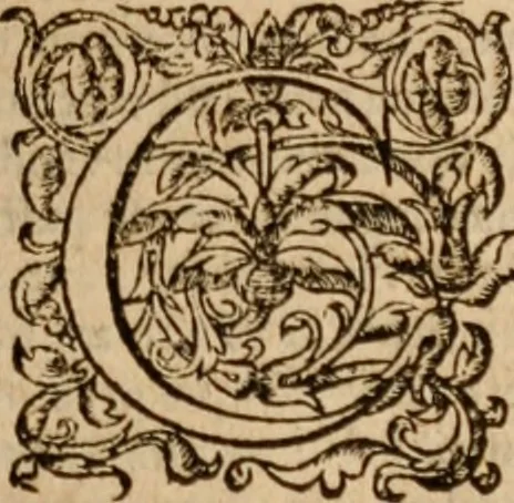 An illustration from Alexandri ab Alexandro, ivrisperiti neapolitani, Genialium dierum libri sex, varia ac recondita eruditione referti; nunc postremùm infinitis mendis quibus antea squallebat liber pulcherrimus, quanta fieri potuit diligentia perpurgati atque in pristinum nitorem restituti, 1570, leaf 924