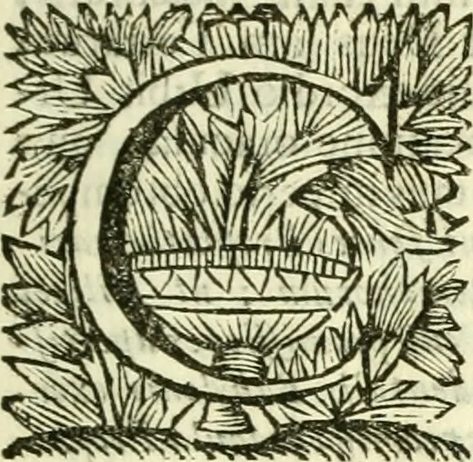 An illustration from Alexandri Donati e Societate Jesu Roma vetus ac recens : utriusque ædificiis illustrata : in multis locis aucta, castigatior reddita, indice locupletissimo & figuris aeneis illustrata, 1695, leaf 24