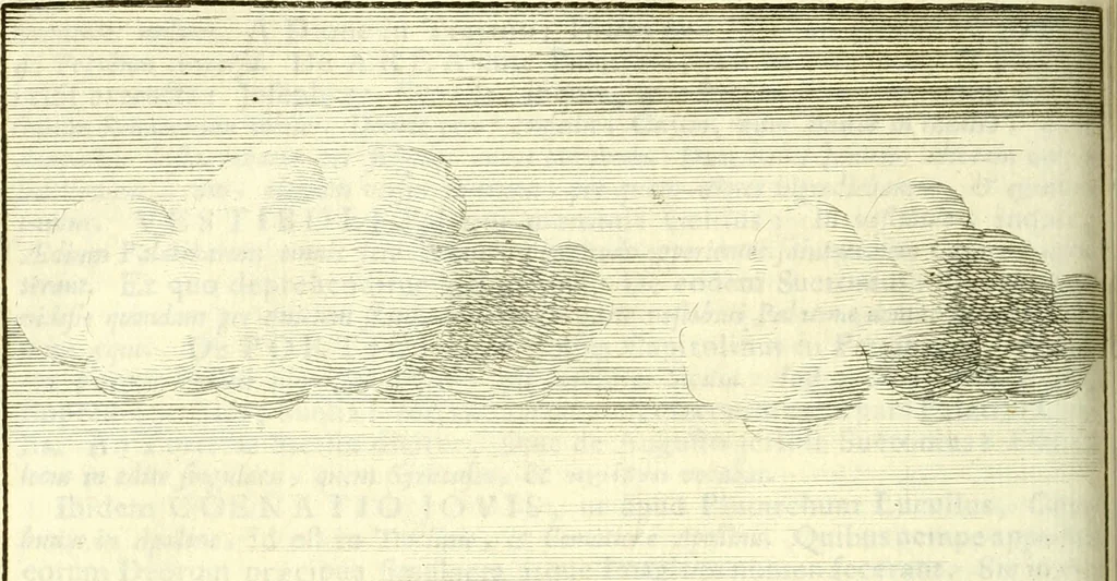 An illustration from Alexandri Donati e Societate Jesu Roma vetus ac recens : utriusque ædificiis illustrata : in multis locis aucta, castigatior reddita, indice locupletissimo & figuris aeneis illustrata, 1695, leaf 245