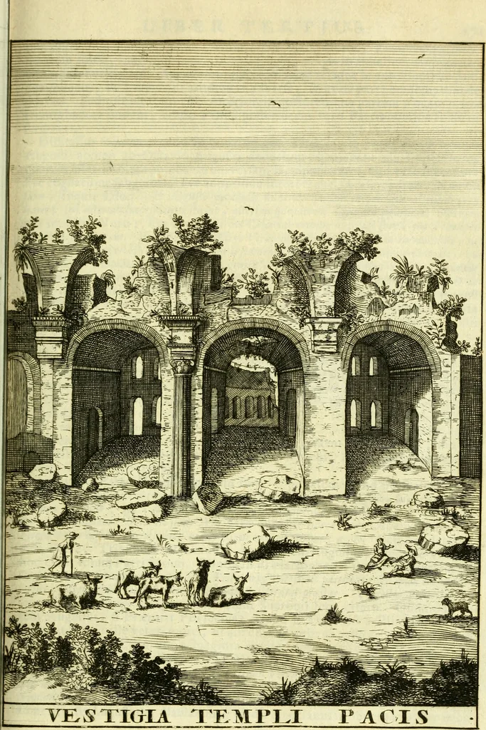 An illustration from Alexandri Donati e Societate Jesu Roma vetus ac recens : utriusque ædificiis illustrata : in multis locis aucta, castigatior reddita, indice locupletissimo & figuris aeneis illustrata, 1695, leaf 262