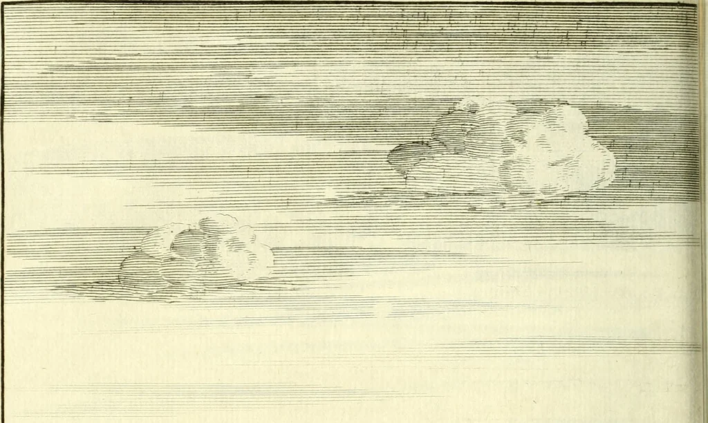 An illustration from Alexandri Donati e Societate Jesu Roma vetus ac recens : utriusque ædificiis illustrata : in multis locis aucta, castigatior reddita, indice locupletissimo & figuris aeneis illustrata, 1695, leaf 333