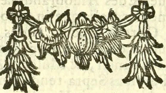 An illustration from Alexandri Donati e Societate Jesu Roma vetus ac recens : utriusque ædificiis illustrata : in multis locis aucta, castigatior reddita, indice locupletissimo & figuris aeneis illustrata, 1695, leaf 555