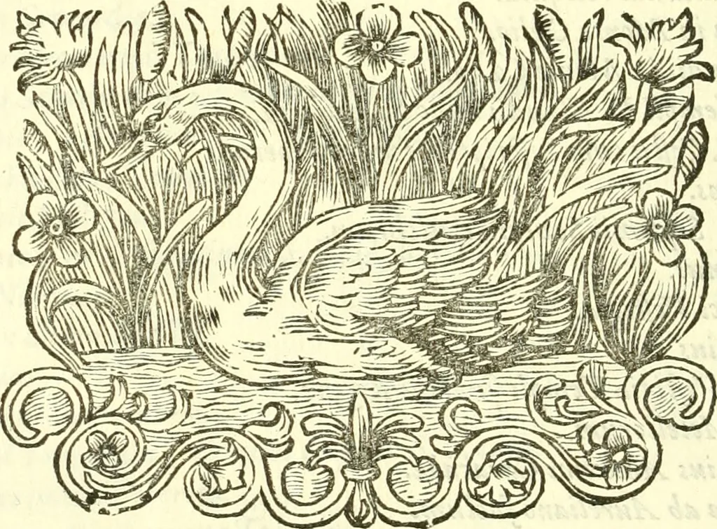An illustration from Alexandri Donati e Societate Jesu Roma vetus ac recens : utriusque ædificiis illustrata : in multis locis aucta, castigatior reddita, indice locupletissimo & figuris aeneis illustrata, 1695, leaf 559