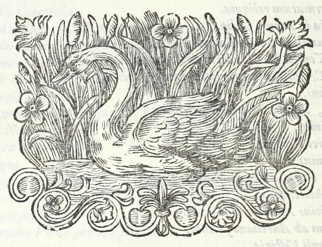 An illustration from Alexandri Donati e Societate Jesu, Roma vetus ac recens, utriusque aedificiis illustrata : in multis locis aucta, castigatior reddita, indice locupletissimo, & figuris aeneis illustrata, 1695, leaf 566