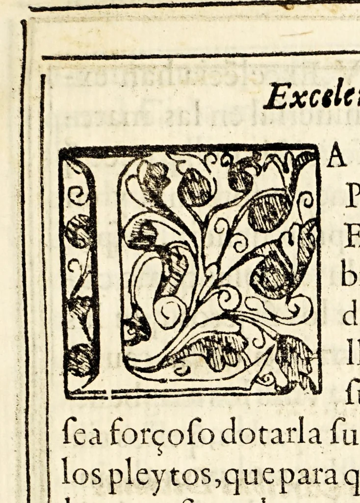 An illustration from Al excelentissimo señor don Garcia de Avellaneda i Haro conde de Castrillo, señor de las villas de Valverde, Alcubilla de la Pinilla, Alcoba de la Torre, Quintanilla de Nuño Pedro, i de Villalva, alcayde perpetuo de Alàma, de Molina, i de Atien̨ca, Alguazil mayor i primer regidor de Aranda de Duero, patron de san Geronimo de Espeja, del Colegio de la Veracruz, i monasterios de los Valles, i San Bernardo de Aranda, comendador de la obreria, i de argamasilla, en la orden de Calatrava, gentil-hombre de la camara de su Magestad, de sus consejos de estado, castilla, i camara, i preseidente en el Real y Supremo de las Indias;, 1646, leaf 7