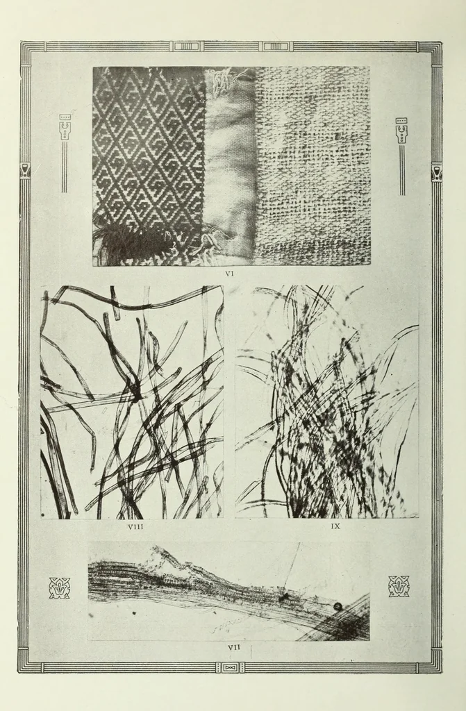 An illustration from Alfombras - tapices i tejidos criollos, 1916, leaf 64