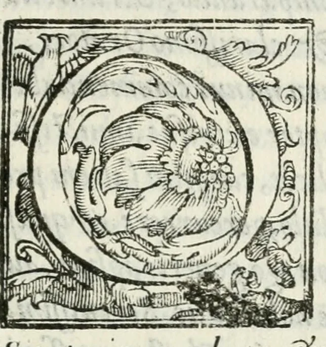 An illustration from Alfonsi Saxi i. v. d. Mvtin. aqvarii comitis oratio in fvnere ser.mi Alfonsi II. Ferrariae dvcis, &c. : habita Mvtinae, in ecclesia cathedrali pridie idvs Ianvarii, 1599, leaf 7