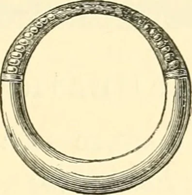 An illustration from The Alfred jewel: an historical essay, 1901, leaf 192
