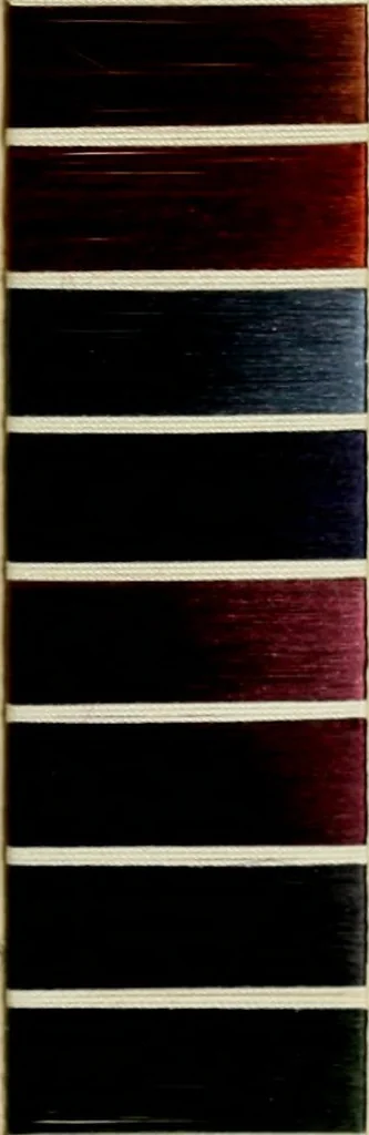 An illustration from Algole colours, 1914, leaf 68