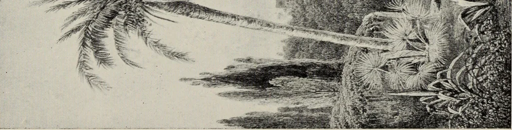 An illustration from The Alhambra, being a brief record of the Arabian conquest of the Peninsula, 1907, leaf 566