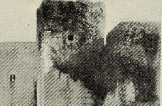 An illustration from The Alhambra, being a brief record of the Arabian conquest of the Peninsula, 1907, leaf 584