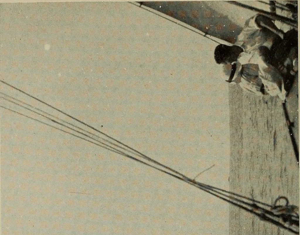 An illustration from Alice and I at Larchmont, 1915, leaf 51