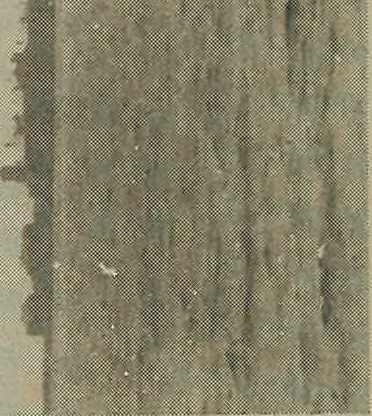 An illustration from Alice and I at Larchmont, 1915, leaf 51
