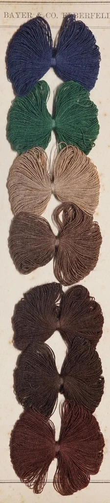An illustration from Alizarinfarben auf Baumwollgarn., 1900, leaf 11
