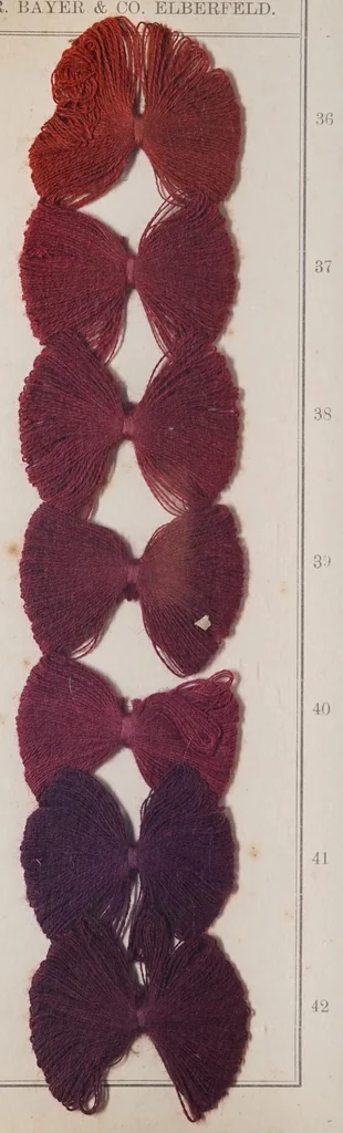 An illustration from Alizarinfarben auf Baumwollgarn., 1900, leaf 12