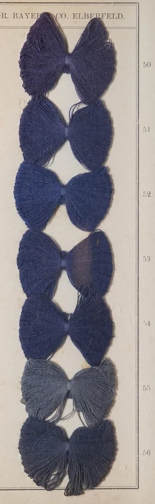 An illustration from Alizarinfarben auf Baumwollgarn., 1900, leaf 14