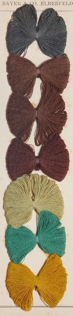 An illustration from Alizarinfarben auf Baumwollgarn., 1900, leaf 15