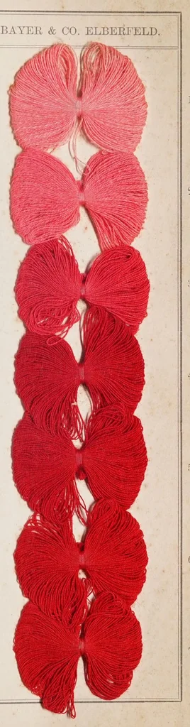 An illustration from Alizarinfarben auf Baumwollgarn., 1900, leaf 5