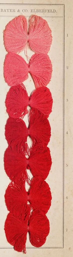 An illustration from Alizarinfarben auf Baumwollgarn., 1900, leaf 7