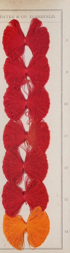 An illustration from Alizarinfarben auf Baumwollgarn., 1900, leaf 8