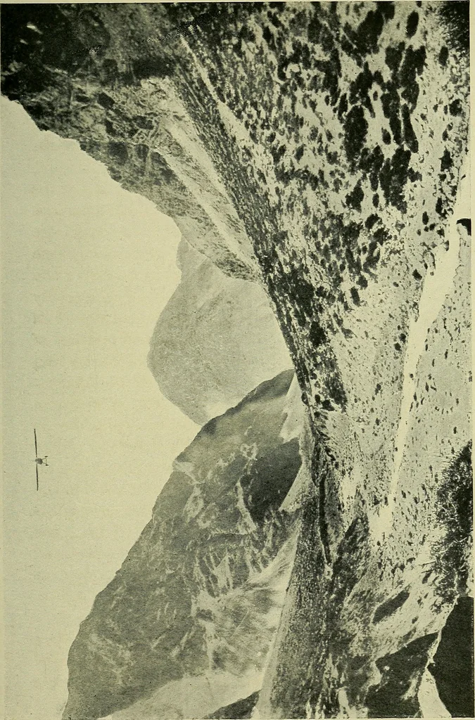 An illustration from All about aircraft of today, 1919, leaf 238