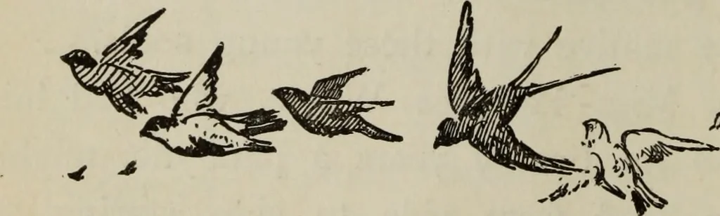 An illustration from All around a palette, 1878, leaf 115