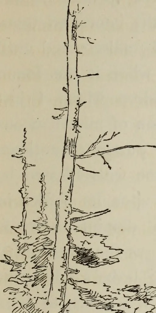 An illustration from All around a palette, 1878, leaf 134