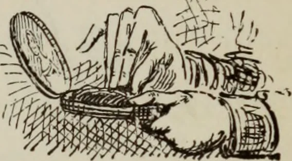 An illustration from All around a palette, 1878, leaf 146