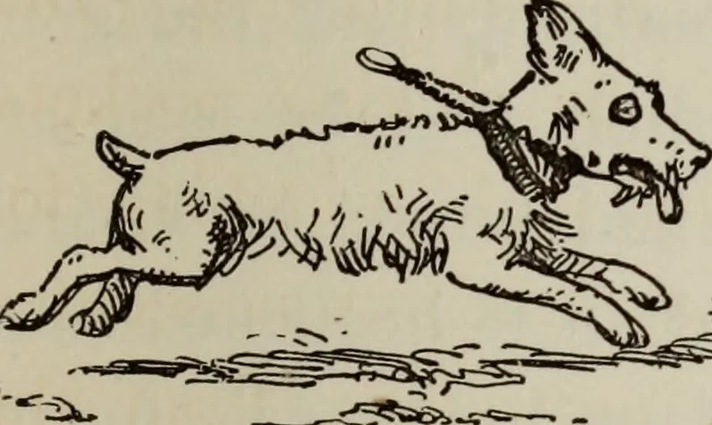 An illustration from All around a palette, 1878, leaf 154