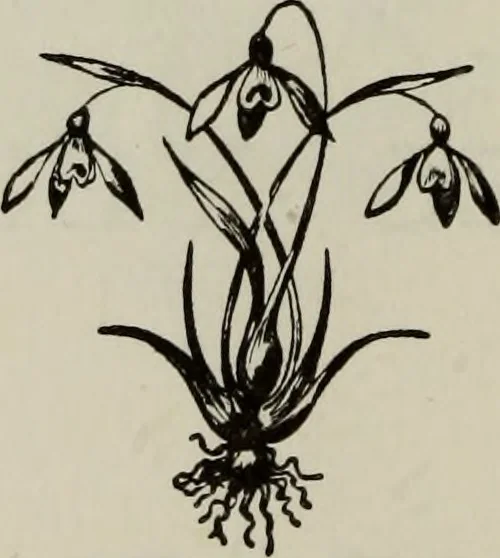 An illustration from All around a palette, 1878, leaf 179