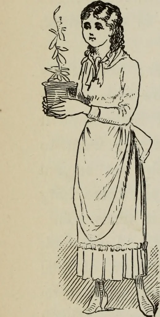 An illustration from All around a palette, 1878, leaf 211