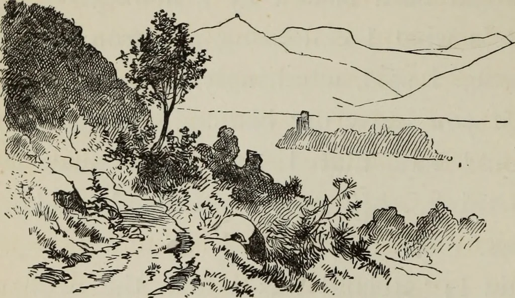 An illustration from All around a palette, 1878, leaf 239