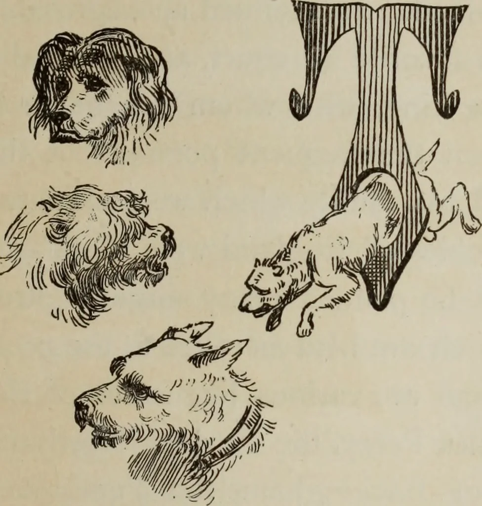 An illustration from All around a palette, 1878, leaf 260