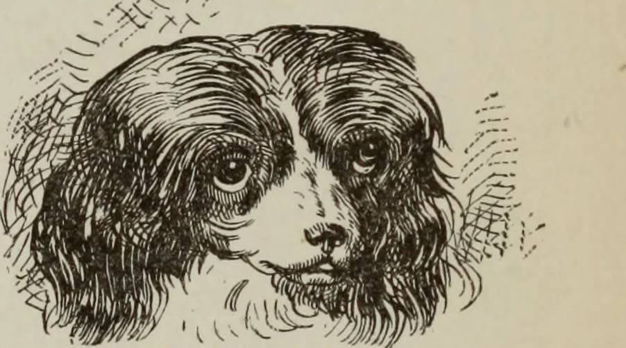 An illustration from All around a palette, 1878, leaf 264