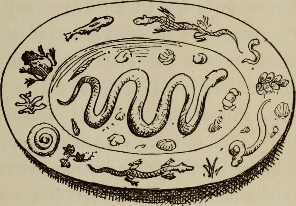 An illustration from All around a palette, 1878, leaf 316