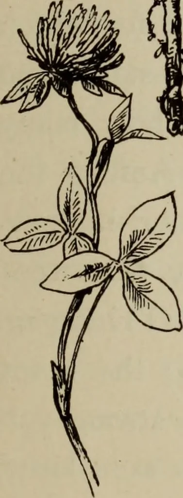 An illustration from All around a palette, 1878, leaf 56