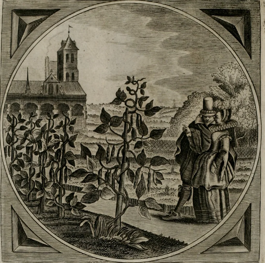 An illustration from Alle de wercken, so ouden als nieuwen, 1658, leaf 143
