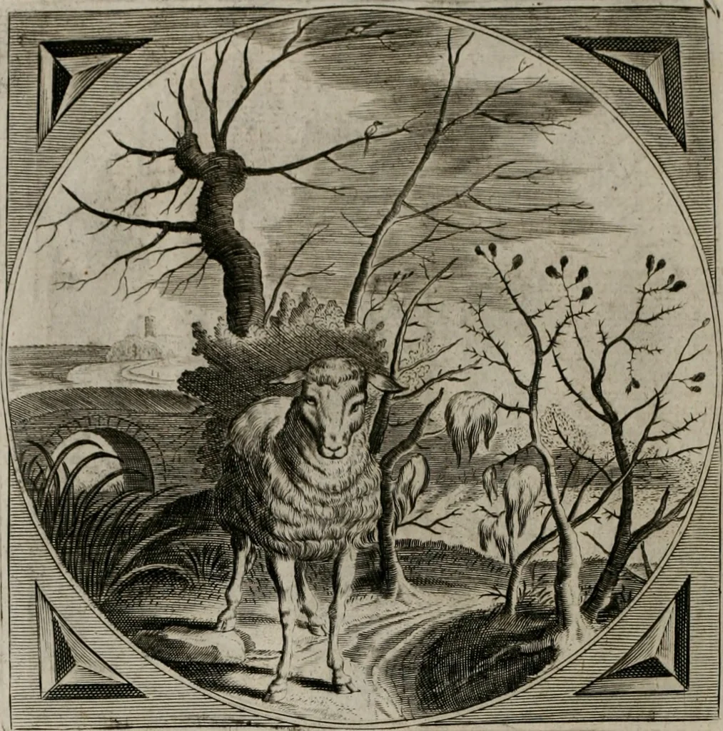 An illustration from Alle de wercken, so ouden als nieuwen, 1658, leaf 155