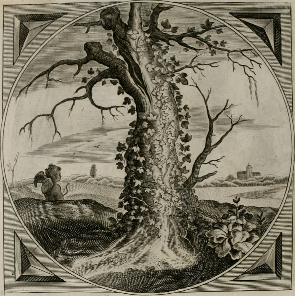 An illustration from Alle de wercken, so ouden als nieuwen, 1658, leaf 163