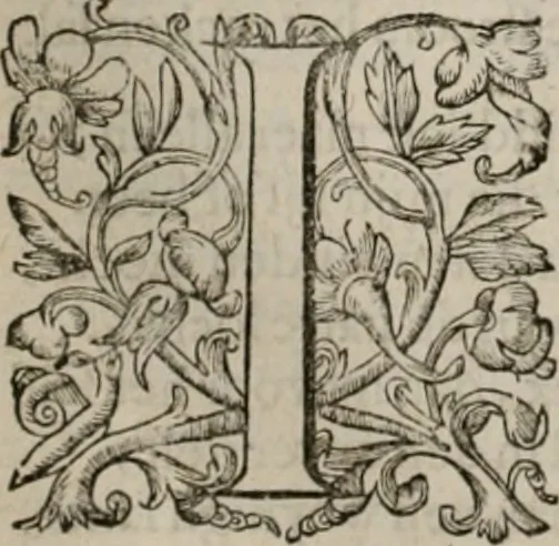 An illustration from Alle de wercken, so ouden als nieuwen, 1658, leaf 185
