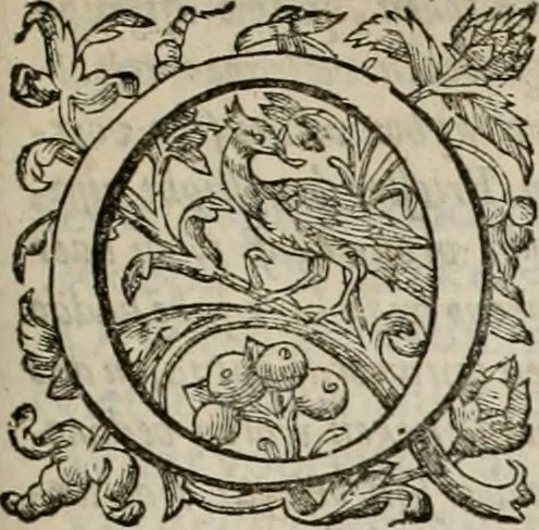 An illustration from Alle de wercken, so ouden als nieuwen, 1658, leaf 186