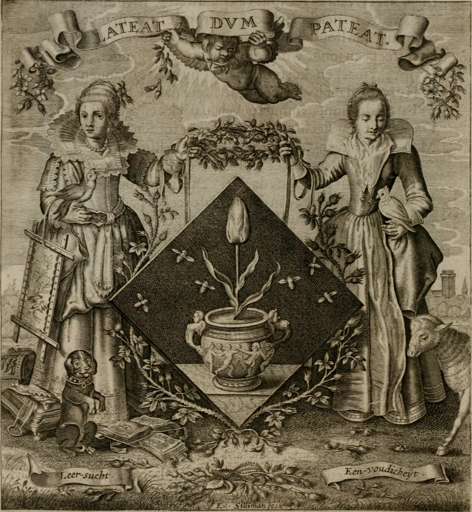 An illustration from Alle de wercken, so ouden als nieuwen, 1658, leaf 263