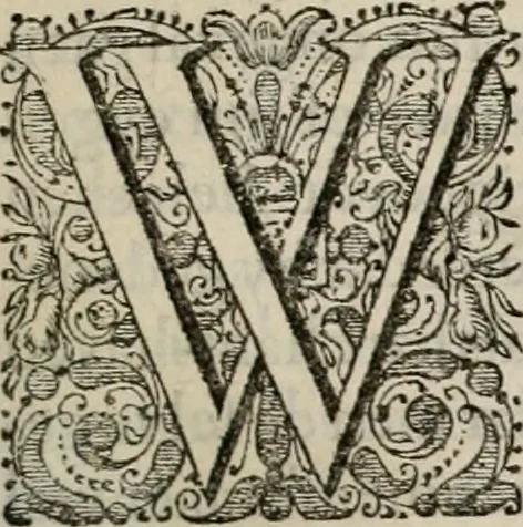 An illustration from Alle de wercken, so ouden als nieuwen, 1658, leaf 330