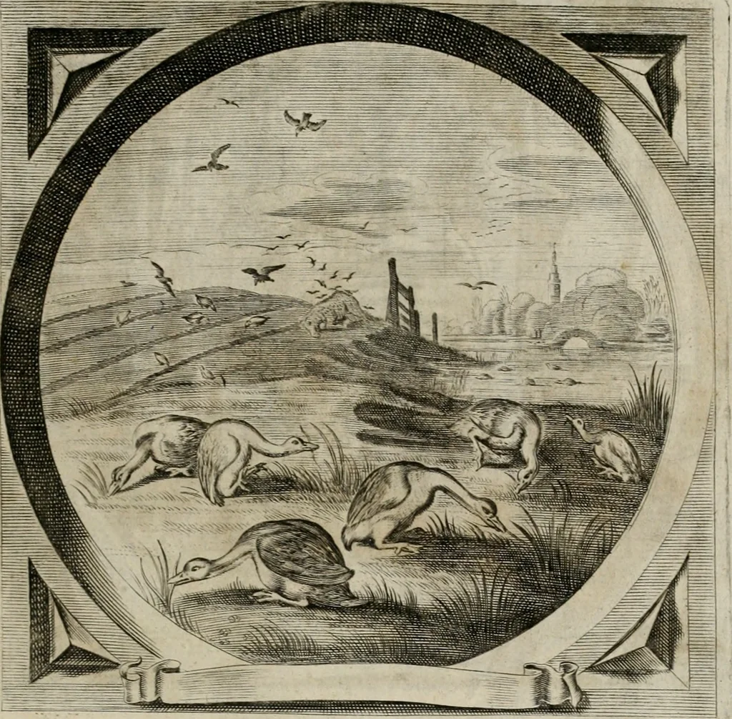 An illustration from Alle de wercken, so ouden als nieuwen, 1658, leaf 604