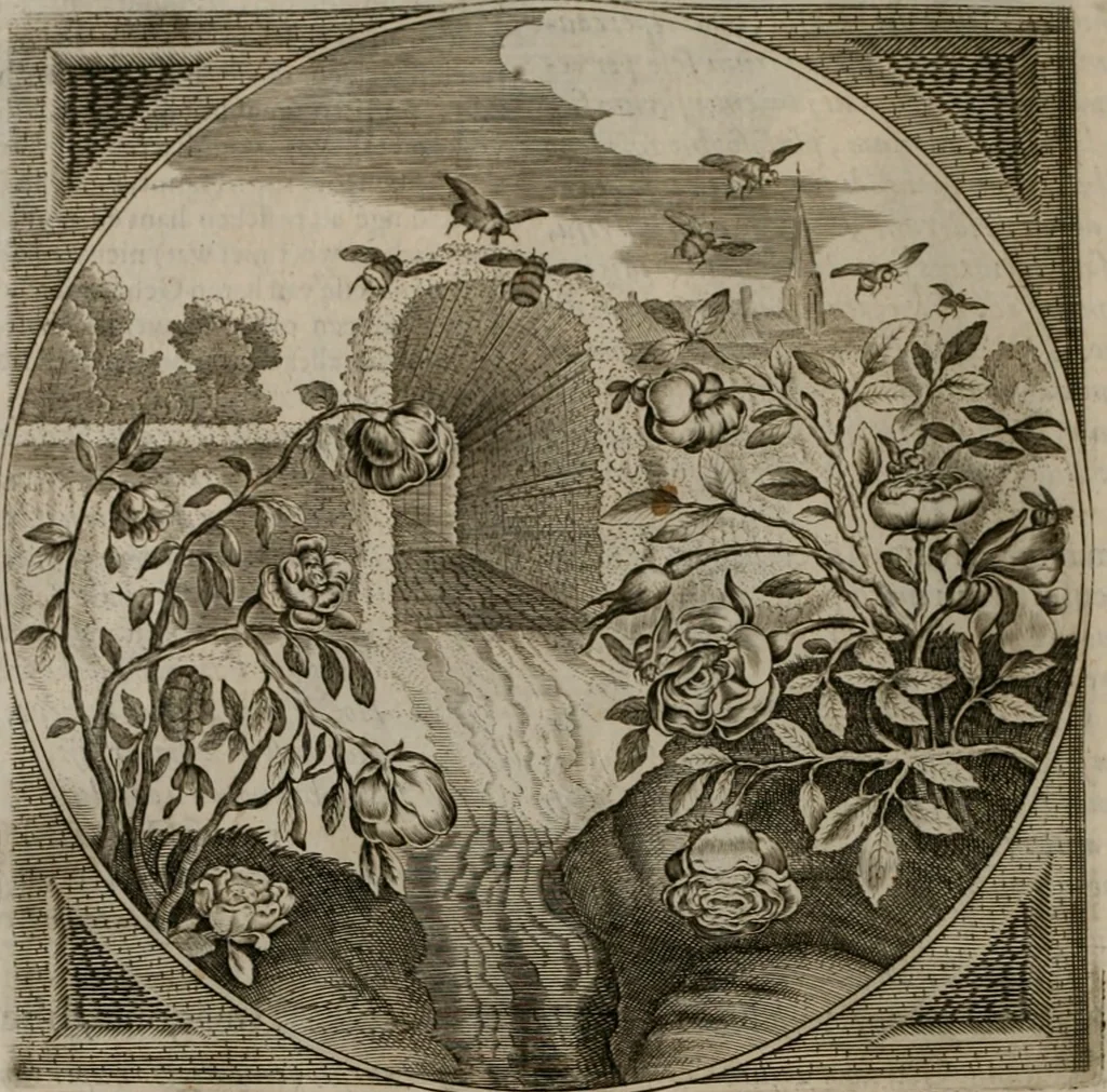 An illustration from Alle de wercken, so ouden als nieuwen, 1658, leaf 81