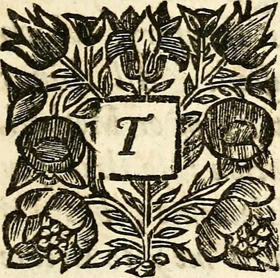 An illustration from All for love: or, The world well lost. A tragedy as it is acted at the Theatre-Royal; and written in imitation of Shakespeare's stile. By John Dryden, servant to His Majesty, 1678, leaf 8