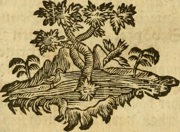 An illustration from Allgemeine Geschichte Würtenbergs und dessen angränzender Gebiethe und Gegenden, nach den merkwürdigsten Veränderungen in Staats-Kirchen und Burgerlichen Wesen : Alles mit nöthigen Documenten bewiesen und mit vielen Kupfern gezieret, 1764, leaf 57